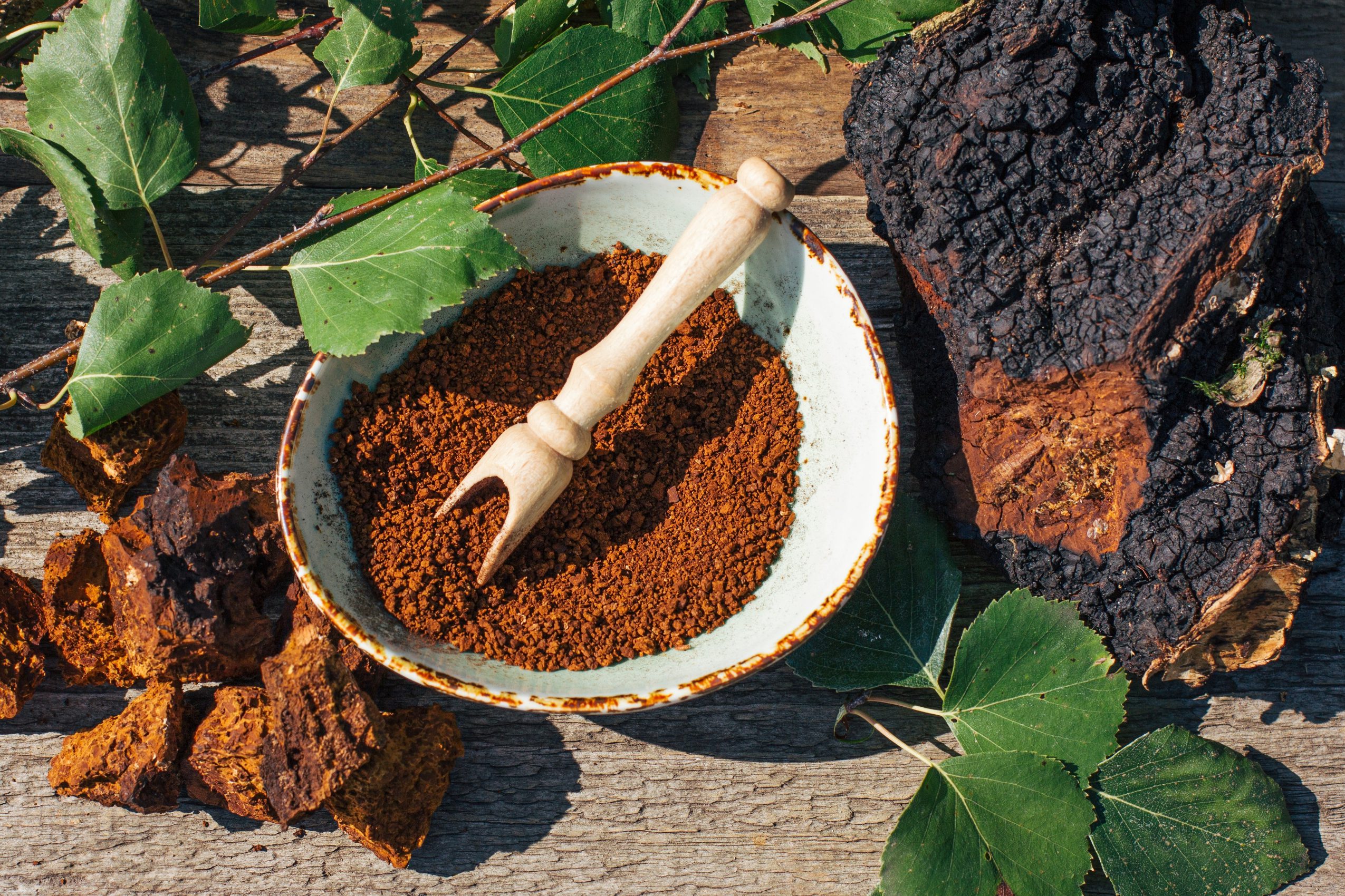 Ground chaga in a bowl with a scoop